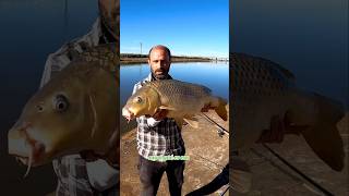 Carpones del Salado fishing pesca videosdeleon [upl. by Esirehc]