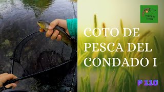 PROYECTO 110  COTO DE PESCA DEL CONDADO I 🏞️ LA AHOGADA TRIUNFA Y LLEGAN LAS PRIMERAS A SECA 🦟🦟 [upl. by Rosati348]