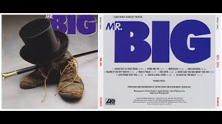 Mr Big  Mr Big Full Album 1989 [upl. by Novia]