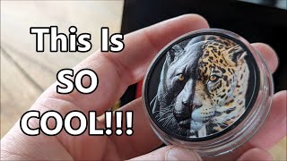 Well This Is Just A Lovely Silver Coin  Come Have A Look How Good This Day amp Night Jaguar Is [upl. by Saks126]