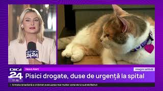 Știrile Digi24 de la ora 17 – 13 noiembrie 2024 [upl. by Ha]