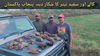 Kalay Aur Sufaid Teetar Ka Shakaar  Black and White Partridge Hunting Punjab Pakistan [upl. by Onek]