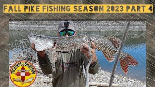 FALL PIKE FISHING SEASON 2023 PART 4 [upl. by Otrebmal]