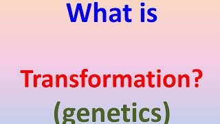 What is transformation genetics [upl. by Ecurb62]