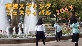 横浜 スプリングフェア2015 花壇展 山下公園 修学旅行生や外国人観光客にも人気！Flower bed フリューリングスフェスト イベント [upl. by Ilak671]