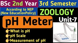 BSc 2nd Year 3rd Semester Zoology Unit 7pH MeterMeasurement of pHpH ScalepH Measurement in Hindi [upl. by Pearla]