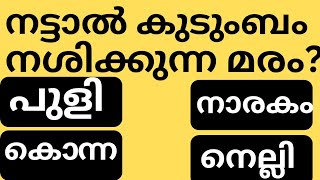 നട്ടാൽ കുടുംബം നശിക്കുന്ന മരംGk malayalamquiz questionsampanswersastrology [upl. by Aicirtam575]