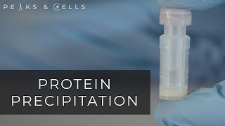 Protein Purification [upl. by Yraccaz295]