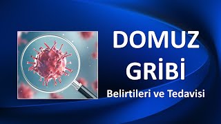 DOMUZ GRİBİ İNFLUENZA A Belirtileri ve Tedavisi [upl. by Duaner292]