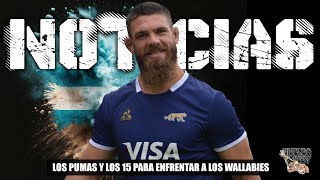 Noticias Viviendo Rugby 🏉 Formación Horarios Pumas vs Wallabies Springboks vs All Blacks [upl. by Enirehtahc]