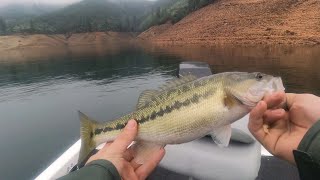 December bass fishing Shasta Lake [upl. by Gilba]