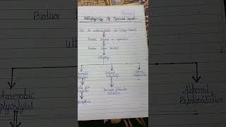 Pathophysiology of myocardial infraction [upl. by Ness339]