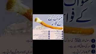 miswak ke fayde  miswak stick  molana Muhammad ismail farooqi [upl. by Nepets]