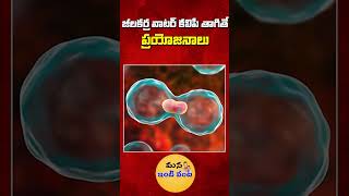 పరగడుపున జీలకర్ర వాటర్ కలిపి తాగితే ప్రయోజనాలు  Benefits Of Drinking With Cumin Water shorts [upl. by Stempien316]