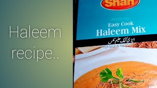 Shan haleem mix recipe made by Hamna malik [upl. by Sirraf424]