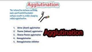 Types of agglutination reactions  agglutination reaction in hindi [upl. by Araminta]