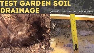 How to Test Soil Drainage [upl. by Niwle]