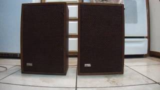 How work Vintage Harman Kardon speakers HK20 sound great [upl. by Giglio]