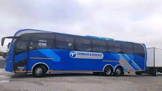 Tamuka coaches from south African to Zimbabwe [upl. by Anoved]