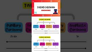 Thyroid Carcinoma  Shorts  Types Mnemonic  Endocrinology  Medi Trix [upl. by Ellegna600]