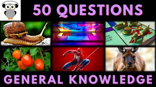 General Knowledge Quiz Trivia 193  Snail Microsoft Monopoly House Tomato Spiderman Kangaroo [upl. by Zebada37]