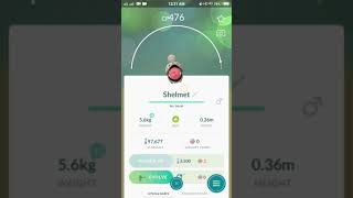 Evolution of a shelmet in pokemon go [upl. by Waechter]