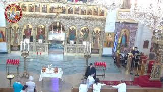 The Dormition of the Theotokos Orthros and Divine Liturgy [upl. by Rehtul429]