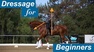 Dressage for Beginners [upl. by Waring]