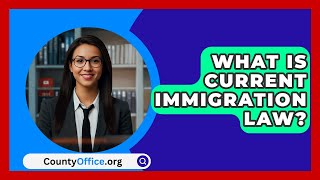 What Is Current Immigration Law  CountyOfficeorg [upl. by Siegler]