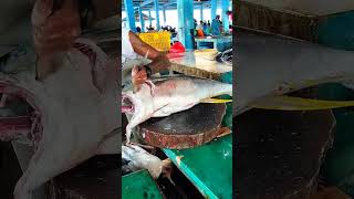 Perfect Tuna Cutting Techniques fish fishcutting fishmarket lokalmarket fishing [upl. by Inah]