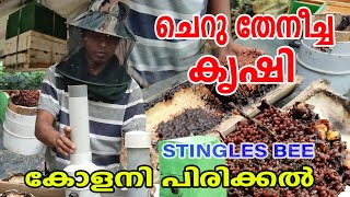 ചെറു തേനീച്ച കൃഷി  PVC BEE TRAPING  STINGLESS BEE FARMING  NJAANORU MALAYALI [upl. by Chemash540]