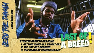 Why They DONT Mention Jeru The Damaja Stunted Growth Music [upl. by Vivienne989]