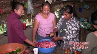 FERIA DE MI RANCHITO ZACACUAUTLA JOLALPAN PUEBLA 1ra parte [upl. by Llertniuq]