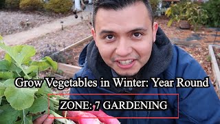 Growing Vegetables in Winter Northern Virginia Zone 7 [upl. by Anor]