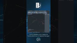 Como trabalhar com mapas de fundo dinâmicos no Spatial Manager​ [upl. by Elisabet]