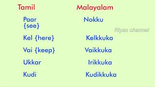 Learn malayalam through tamil13 [upl. by Dannie]