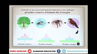 6 06 026 Java e trembëdhjetë Biologji qarkullimi i energjisë në ekosistem [upl. by Erdnaek]