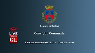 Consiglio Comunale del 23 07 2024 [upl. by Enorel]