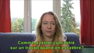 Comment rester concentré sur un travail quand on est zèbre [upl. by Marvin]