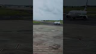 737 max 800 landing and taxiinn American airlines [upl. by Oleic]