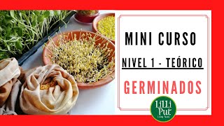 🌾CÓMO HACER GERMINADOS en casa 👉 Curso básico TEÓRICO [upl. by Notaes]