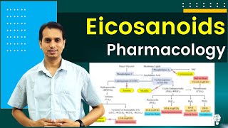 Eicosanoid Pharmacology  Biosynthesis of Eicosanoids  Prostaglandin Pharmacology [upl. by Ecadnarb451]