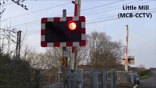 EVERY LEVEL CROSSING IN NORTHUMBERLAND 🏴󠁧󠁢󠁥󠁮󠁧󠁿 [upl. by Gurolinick]