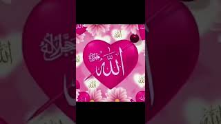 Subhanallah youtube love viral allah [upl. by Schaffel]