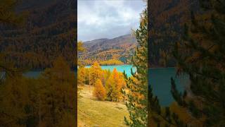 Engadin its autumn colors Golden graubünden switzerland mountains lake nature hiking travel [upl. by Hajile]