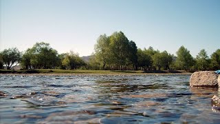 Forderung zur Sicherung der Wasserresourcen aus Portugal [upl. by Ellasal829]