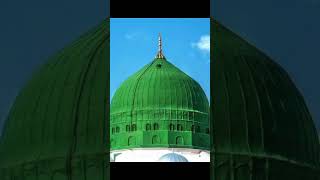 Mera Nabi Mera Nabi he sajidmehmood makkah madina trending trendingshorts fyp youtubeshorts [upl. by Gildus]