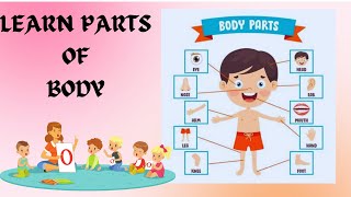 Parts of body with pictures Kids Vocabulary  Learn body parts for babies [upl. by Nesyt]