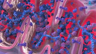 Krebs cycle 3D medical animation [upl. by Dom724]