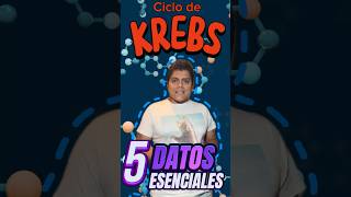 Ciclo de Krebs Simplificado 🔬 5 Puntos Esenciales que Debes Conocer 📚 [upl. by Larret]